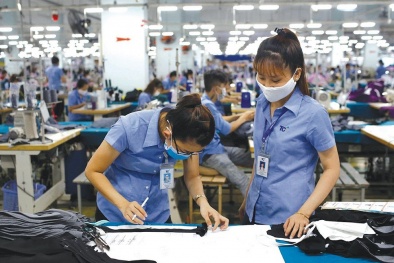 Nhanh chóng chuyển đổi để dệt may thích ứng với tình hình tương lai