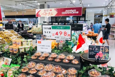 Dù dịch bệnh, xuất khẩu rau, quả vẫn tăng trưởng 