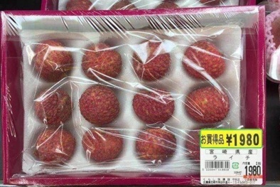 Hầu hết điểm đến xuất khẩu rau quả là các thị trường chất lượng cao