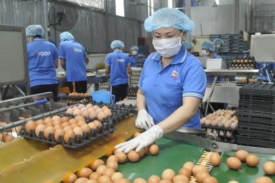 TS Trần Đình Thiên: Ngoài hỗ trợ doanh nghiệp cần thúc đẩy khởi nghiệp sáng tạo