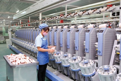 Doanh nghiệp chủ động nâng cao năng suất chất lượng để tận dụng lợi thế từ CPTPP