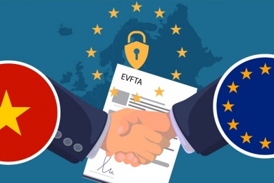 Sở hữu trí tuệ trong EVFTA: Doanh nghiệp dễ bị ‘knock out’ nếu lơ là quy định 	