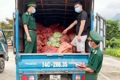 Quảng Ninh: Thu giữ 1,5 tấn chân gà sơ chế xuất lậu sang biên giới