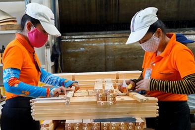 Xuất khẩu lâm sản có thể đạt 12 tỷ USD