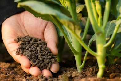 Bộ Nông nghiệp xây dựng TCVN, QCVN phục vụ quản lý nhà nước của ngành