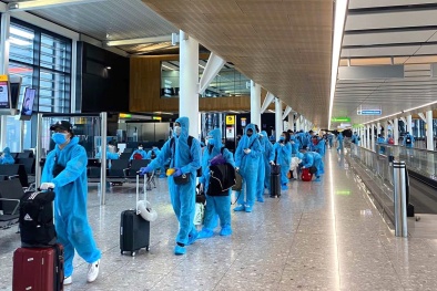 Cảnh báo lừa đảo vé máy bay Vietnam Airlines đưa người về nước tránh dịch Covid-19