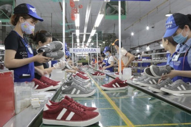 ISO 14501 - Công cụ giúp các doanh nghiệp da giày nâng cao năng lực cạnh tranh