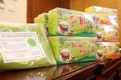 Kỳ vọng đưa KH&CN thành động lực thay đổi và phát triển đời sống xã hội vùng Tây Bắc 