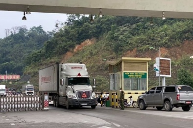 Chi phí vận chuyển hàng nông sản quá cao: Thủ tướng vào cuộc