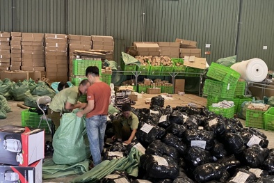 Lật tẩy thủ đoạn kinh doanh 100.000 sản phẩm hàng lậu, hàng giả tại cảng ICD Mỹ Đình