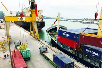 Dù Covid - 19 hàng hóa qua cảng biển Việt Nam vẫn tăng trưởng