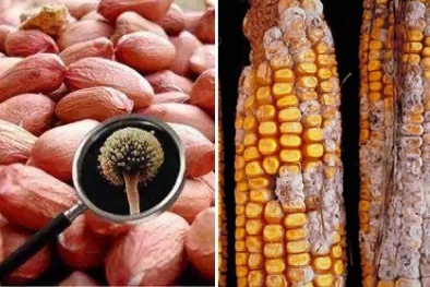 Loạt thực phẩm tiềm ẩn chất kịch độc có thể gây ung thư cần tránh xa 