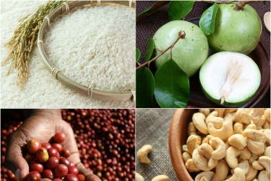Nông sản xuất khẩu sang EU cần đảm bảo yêu cầu về tiêu chuẩn kỹ thuật