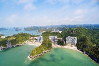 Đầu tư an toàn nhờ lựa chọn thương hiệu bất động sản uy tín