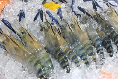 Bất chấp dịch Covid-19, xuất khẩu tôm Việt Nam tăng mạnh, vẫn cần nâng cao chất lượng