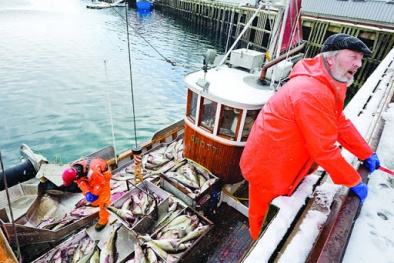 Bộ Công Thương cảnh báo hiện tượng lừa đảo doanh nghiệp xuất khẩu tại Na Uy