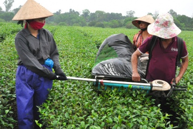 Khoa học và công nghệ làm thay đổi bộ mặt kinh tế - xã hội vùng Tây Bắc