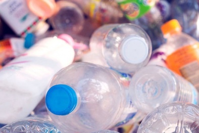 Các sản phẩm nhựa hầu hết đều chứa hóa chất độc hại, cách phân biệt chuẩn nhất