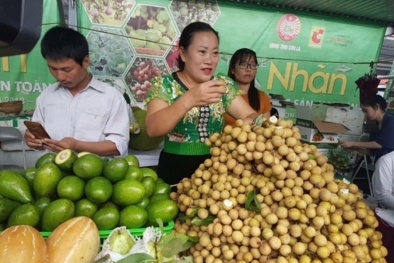 Đẩy mạnh chế biến, tiêu thụ sản phẩm nhãn Sơn La
