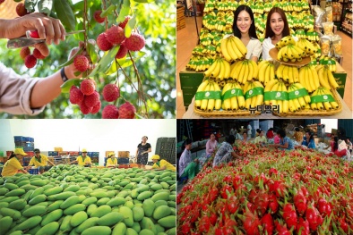 Người tiêu dùng ngoại ‘phải lòng’ hàng Việt