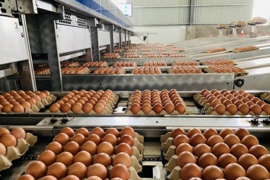 Doanh nghiệp tăng 30% năng suất nhờ áp dụng công cụ cải tiến