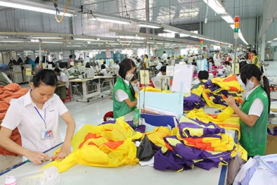 Bình Thuận: Tăng cường hỗ trợ doanh nghiệp nâng cao NSCL