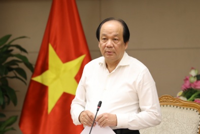 Cắt giảm thủ tục kiểm tra chuyên ngành đạt những kết quả thiết thực