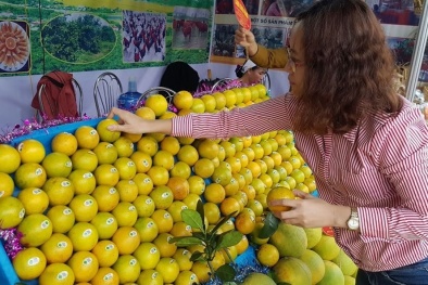 Bảo vệ và phát triển các chỉ dẫn địa lý hàng hóa Việt Nam