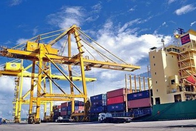 Các yếu tố giúp doanh nghiệp xuất khẩu khai thác hiệu quả nền tảng TMĐT 