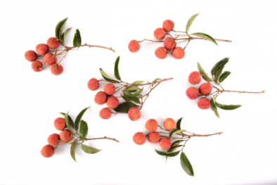 Bảo hộ dấu hiệu chỉ dẫn nguồn gốc địa lý: Giải pháp thúc đẩy tiềm năng các địa phương 