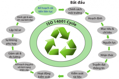 Chế biến than Quảng Ninh: Áp dụng thành công tiêu chuẩn ISO 14000