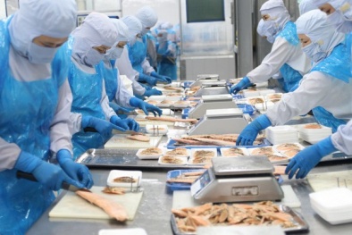 Vượt rào kỹ thuật, nông lâm thủy sản Việt Nam tự tin vào EU