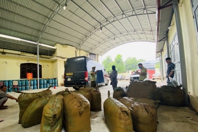 Tạm giữ lượng lớn quần áo nghi nhập lậu, đang vận chuyển đi tiêu thụ