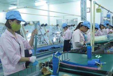 Nâng cao hiệu quả công việc nhờ mô hình 5S 