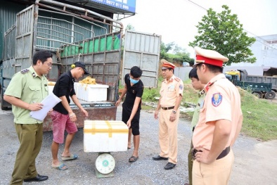 Gần 600kg nội tạng động vật đang phân hủy bốc mùi hôi thối vẫn thu gom về Hà Nội tiêu thụ