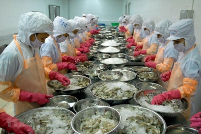 Hướng dẫn doanh nghiệp xuất khẩu thực hiện quy tắc xuất xứ hàng hóa trong EVFTA