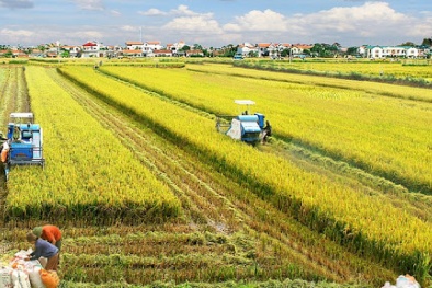Tiêu chuẩn an toàn giúp cộng đồng nông nghiệp canh tác
