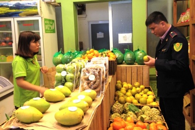 Phấn đấu 100% cửa hàng kinh doanh trái cây có đủ phương tiện, thiết bị đảm bảo chất lượng