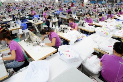 Việt Nam tăng tốc trên con đường EVFTA