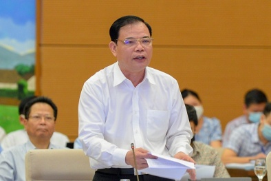 Cảnh báo: Chất lượng nước trên các lưu vực sông đang suy giảm