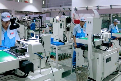 EVFTA - 'thỏi nam châm' hút dòng vốn đầu tư chất lượng cao