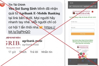 Agribank cảnh báo khách hàng về các chiêu thức lừa đảo trực tuyến 