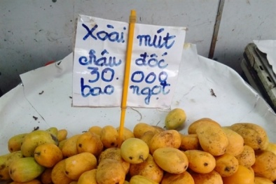 Chỉ mặt 2 loại xoài Trung Quốc giá rẻ đang 'trà trộn' ở chợ Việt 