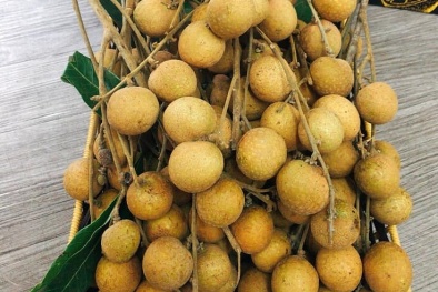 Hoa quả Việt Nam xuất khẩu trở lại sang Mỹ