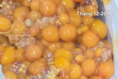 Hà Nội: Phát hiện kho chứa gần 2 tấn trứng non, tràng lợn, lườn vịt không đảm bảo VSATTP
