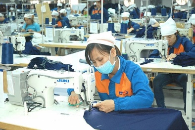 Hỗ trợ doanh nghiệp nhỏ và vừa về tiêu chuẩn đo lường chất lượng