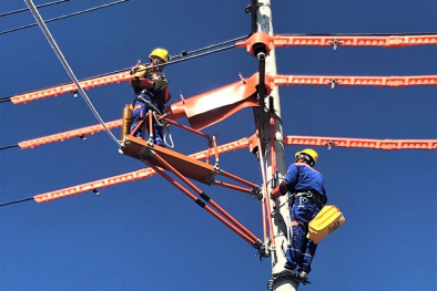  PC Ninh Bình- Giảm thiểu sự cố lưới điện nhờ thực hiện 5S