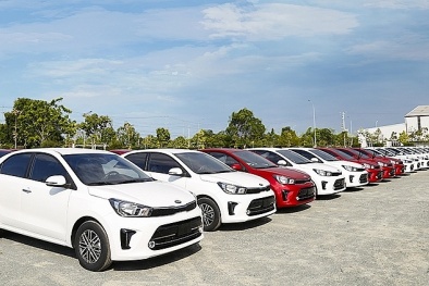 Thaco xuất khẩu xe Kia sang Myanmar