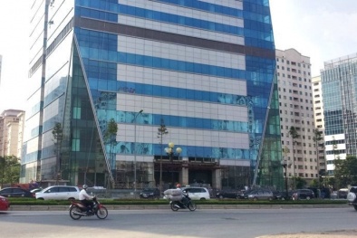 Vì sao Handico6 bị xử phạt 360 triệu đồng?