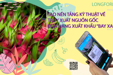 Tạo nền tảng kỹ thuật về truy xuất nguồn gốc hỗ trợ hàng xuất khẩu 'bay xa'